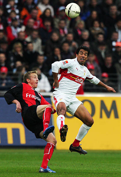 拉菲尼亚在 拉菲尼亚在